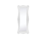 65" Clear Novelty Glass Framed Full Length Hanging Mirror - Homeroots