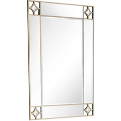 46" Champagne Framed Accent Mirror - Homeroots