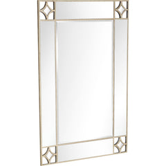 46" Champagne Framed Accent Mirror - Homeroots