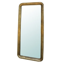 58" Gold Framed Accent Mirror - Homeroots