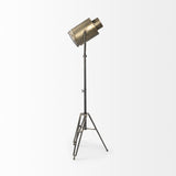 61" Gold Movie Set Floor Lamp - Homeroots