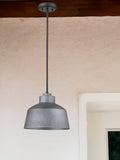 Barnes 1-Light Gray Convertible Pendant - Homeroots