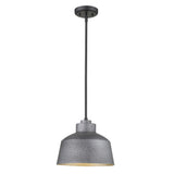 Barnes 1-Light Gray Convertible Pendant - Homeroots