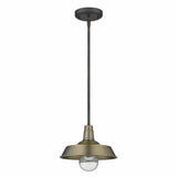 Brushed Gold Shallow Plate Adjustable Pendant Light - Homeroots