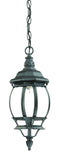 Matte Black Glass Globe Hanging Light - Homeroots