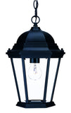 Matte Black Domed Glass Lantern Hanging Light - Homeroots