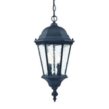 Two Light Matte Black Carousel Lantern Hanging Light - Homeroots