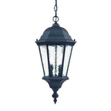 Two Light Matte Black Carousel Lantern Hanging Light - Homeroots - Flyclothing LLC