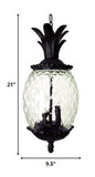Clear and Black Three Light Pineapple Outdoor Hanging Pendent Light - Homeroots - Flyclothing LLC