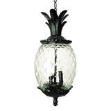 Lanai 3-Light Black Coral Hanging Light - Homeroots