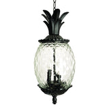 Lanai 3-Light Black Coral Hanging Light - Homeroots