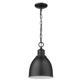 Minimalist Black Metal Pendant Hanging Light - Homeroots