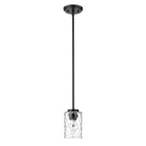 Black Metal and Glass Mini Pendant Hanging Light - Homeroots