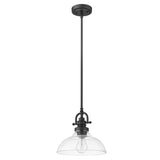 Matte Black Hanging Light with Glass Dome Shade - Homeroots