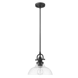 Matte Black Hanging Light with Glass Dome Shade - Homeroots