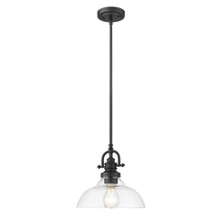 Matte Black Hanging Light with Glass Dome Shade