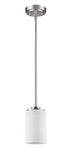 Silver Frosted Glass Hanging Light - Homeroots