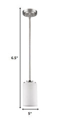 Silver Frosted Glass Hanging Light - Homeroots