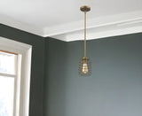 Brushed Gold Metal Cage Hanging Light - Homeroots