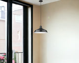 Industrial Matte Black Hanging Light - Homeroots