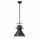 Crew 1-Light Matte Black Pendant - Homeroots