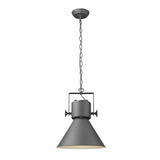 Crew 1-Light Gray Pendant - Homeroots
