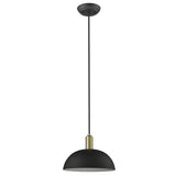Ingo 1-Light Matte Black Pendant - Homeroots