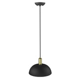 Ingo 1-Light Matte Black Pendant - Homeroots