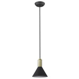 Matte Black and Gold Conical Pendant Hanging Light - Homeroots