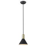 Matte Black and Gold Conical Pendant Hanging Light - Homeroots