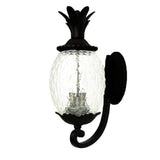 Matte Black Pineapple Wall Light - Homeroots - Flyclothing LLC