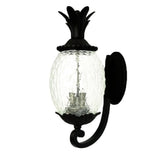 Matte Black Pineapple Wall Light - Homeroots