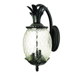Matte Black Hanging Pineapple Wall Light - Homeroots