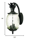 Matte Black Hanging Pineapple Wall Light - Homeroots - Flyclothing LLC
