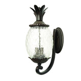 Lanai 3-Light Black Coral Wall Light - Homeroots