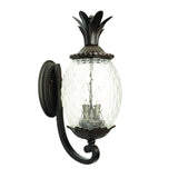 Lanai 3-Light Black Coral Wall Light - Homeroots