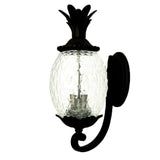 Lanai 3-Light Matte Black Wall Light - Homeroots