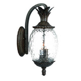 Lanai 3-Light Black Coral Wall Light - Homeroots