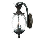 Lanai 3-Light Black Coral Wall Light - Homeroots