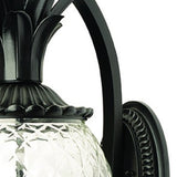 Lanai 3-Light Matte Black Wall Light - Homeroots