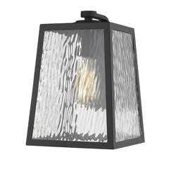 Hirche 1-Light Matte Black Wall Light - Homeroots