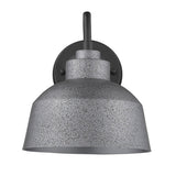 Barnes 1-Light Gray Wall Light - Homeroots
