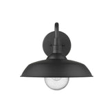 Burry 1-Light Matte Black Wall Light - Homeroots