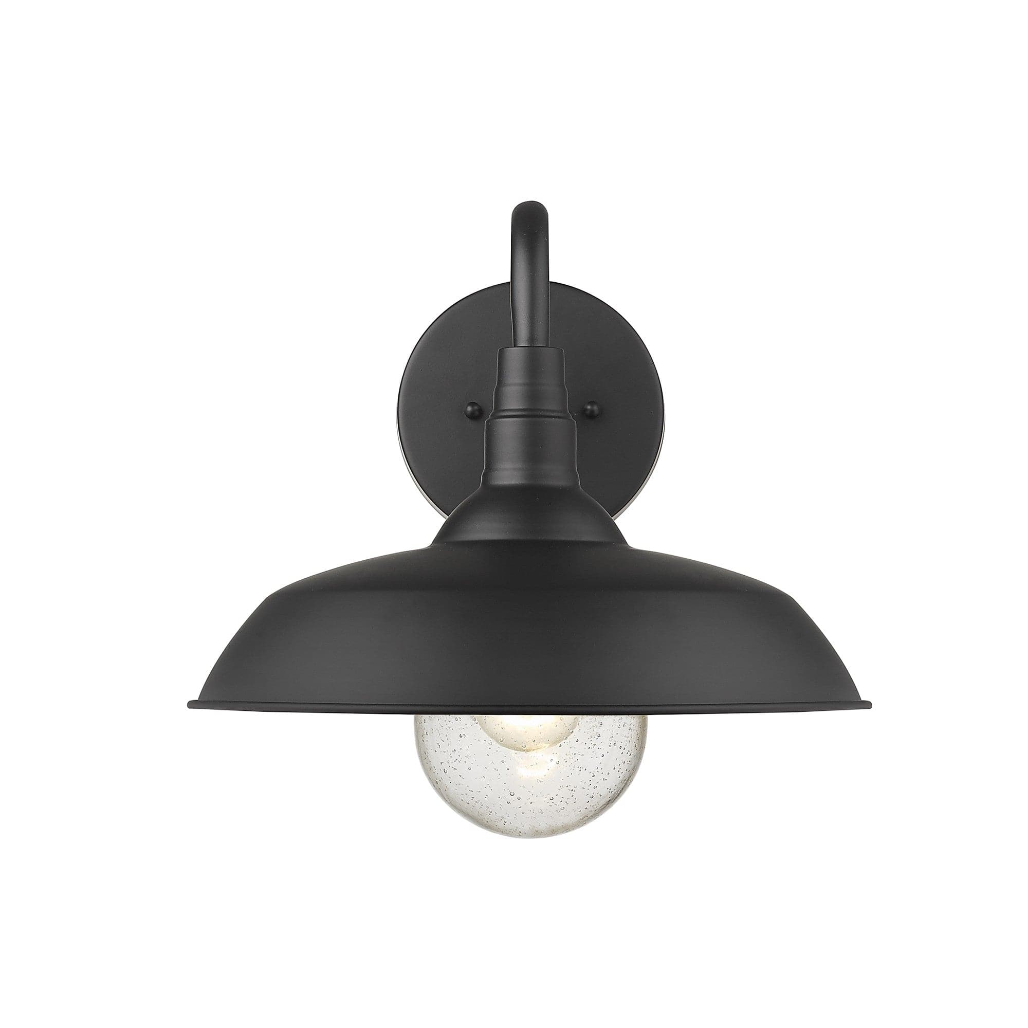 Burry 1-Light Matte Black Wall Light - Homeroots