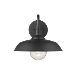 Burry 1-Light Matte Black Wall Light - Homeroots