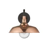 Burry 1-Light Copper Wall Light - Homeroots - Flyclothing LLC