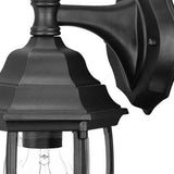 Matte Black Hanging Globe Lantern Wall Light - Homeroots