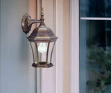 Dark Brown Hanging Carousel Lantern Wall Light - Homeroots - Flyclothing LLC