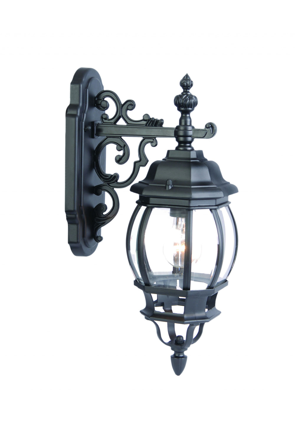Matte Black Hanging Glass Globe Wall Light - Homeroots
