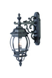 Matte Black Hanging Glass Globe Wall Light - Homeroots